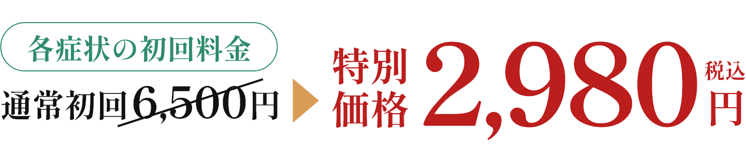 各症状の初回料金 通常初回6,500円が特別価格2,980円税込に